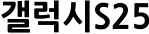 갤럭시S25